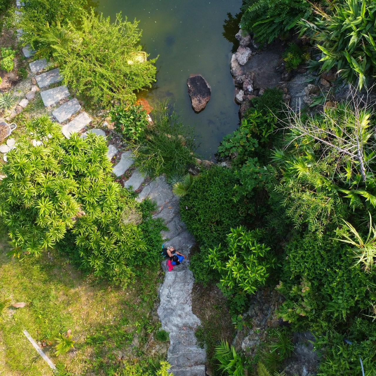 Aerial view of a serene garden with a winding path and peaceful pond surrounded by greenery.